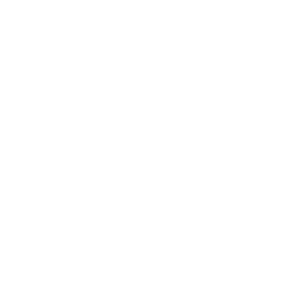 Allegiant Digital Marketing Stamp White