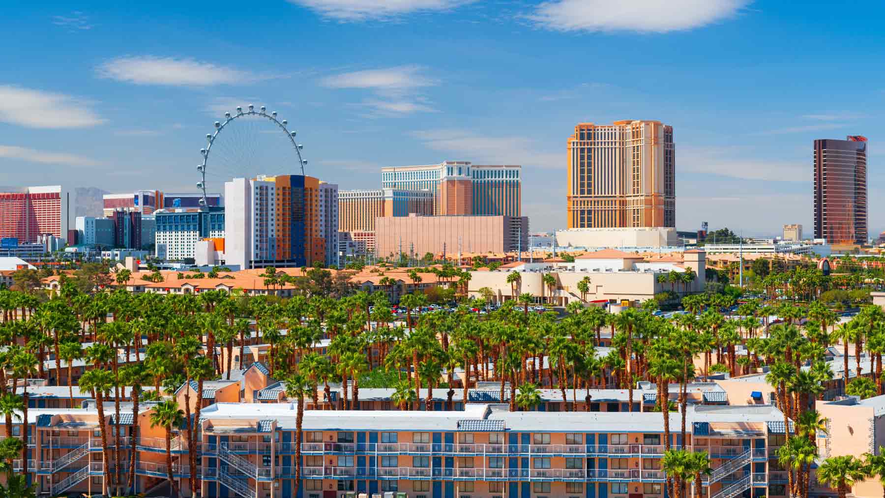 Las Vegas | Allegiant Digital Marketing™