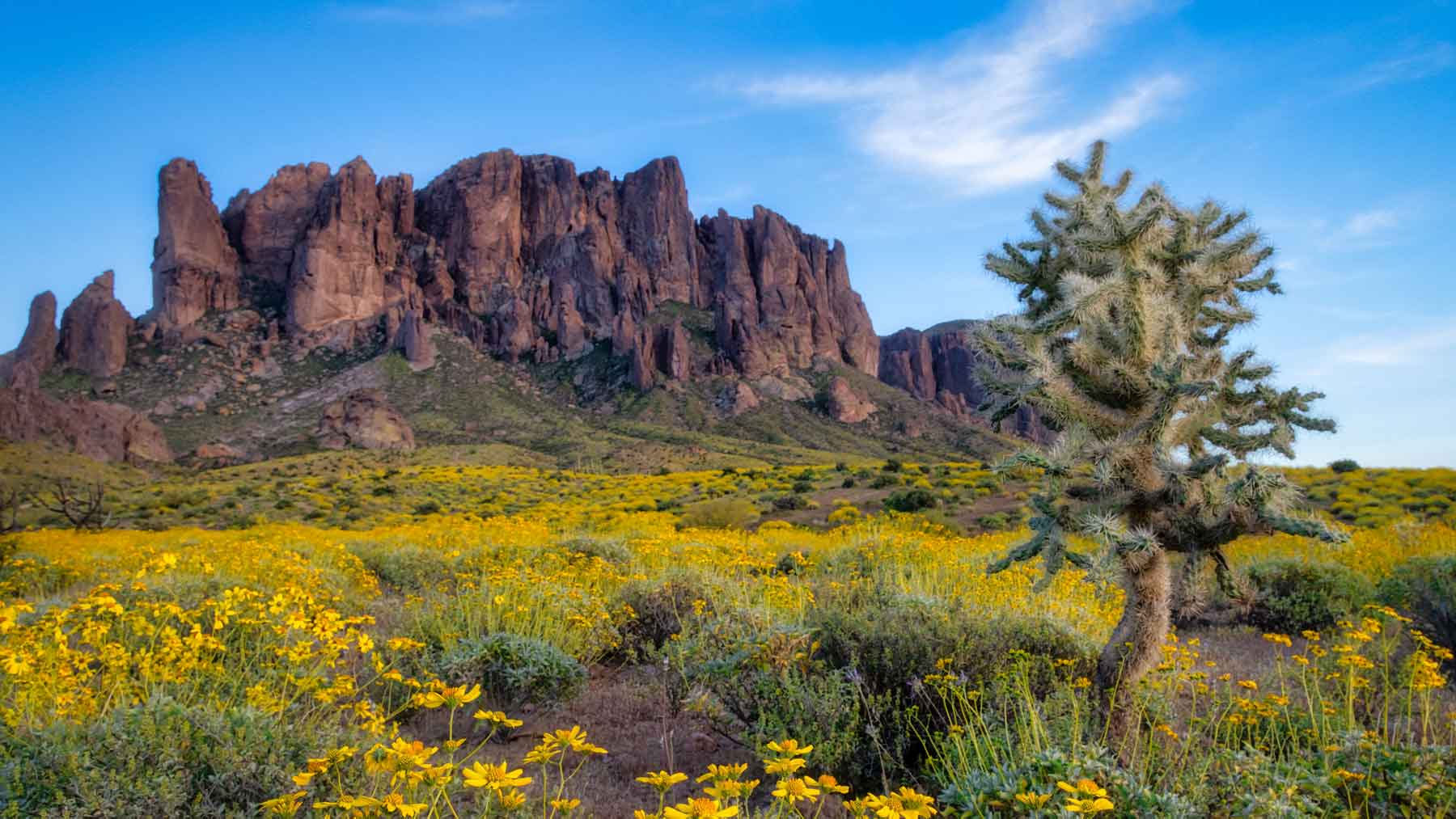 Phoenix, AR | Allegiant Digital Marketing™
