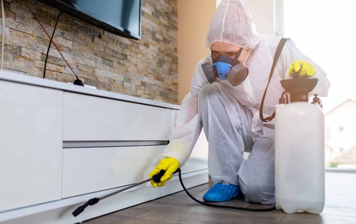 pest control contractor