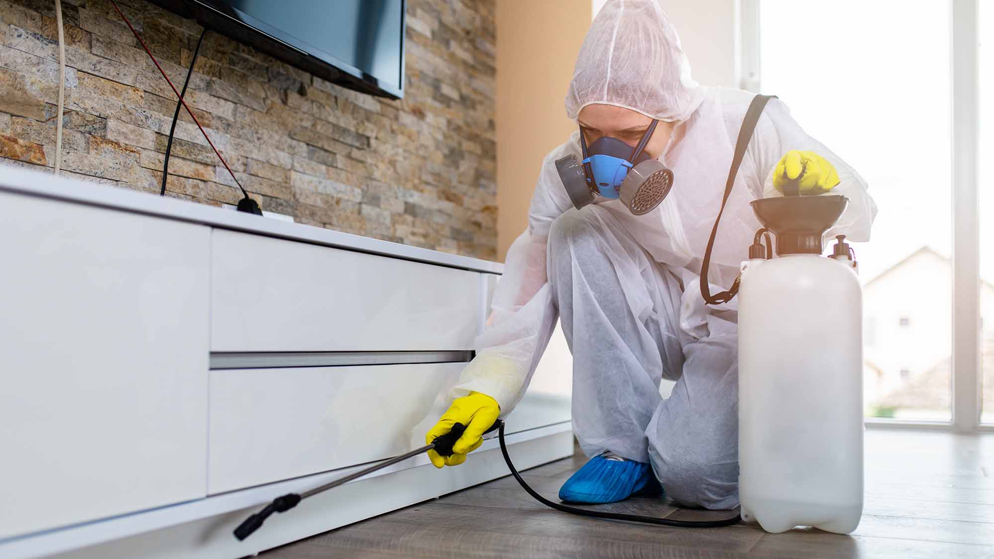 pest control contractor