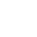 Allegiant Digital Marketing™ logo