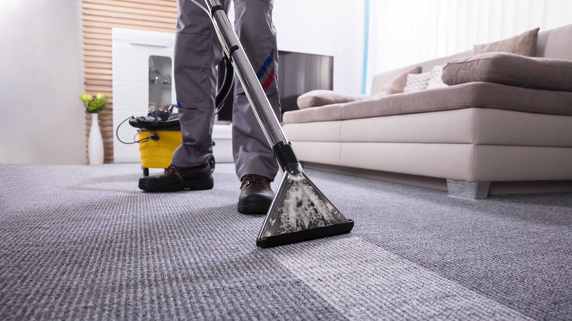 Carpet Cleaning Marketing | Allegiant Digital Marketing™