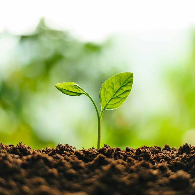 Evergreen Content | Allegiant Digital Marketing™