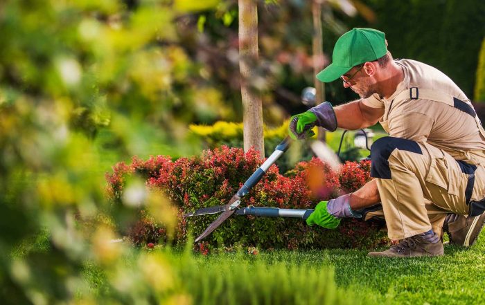 Landscaping SEO | Allegiant Digital Marketing™