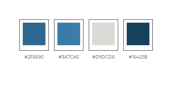 What is a branding kit color palette | Allegiant Digital Marketing™