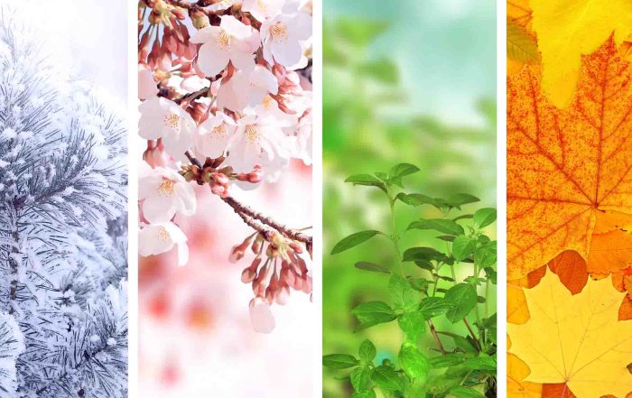 Four seasons of the year.